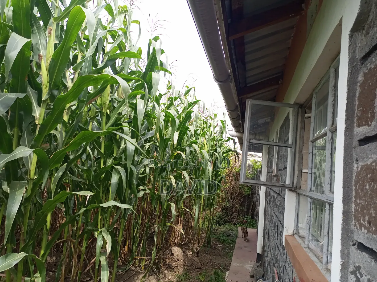 5bdrm House in Imperial, Nakuru Town East for sale