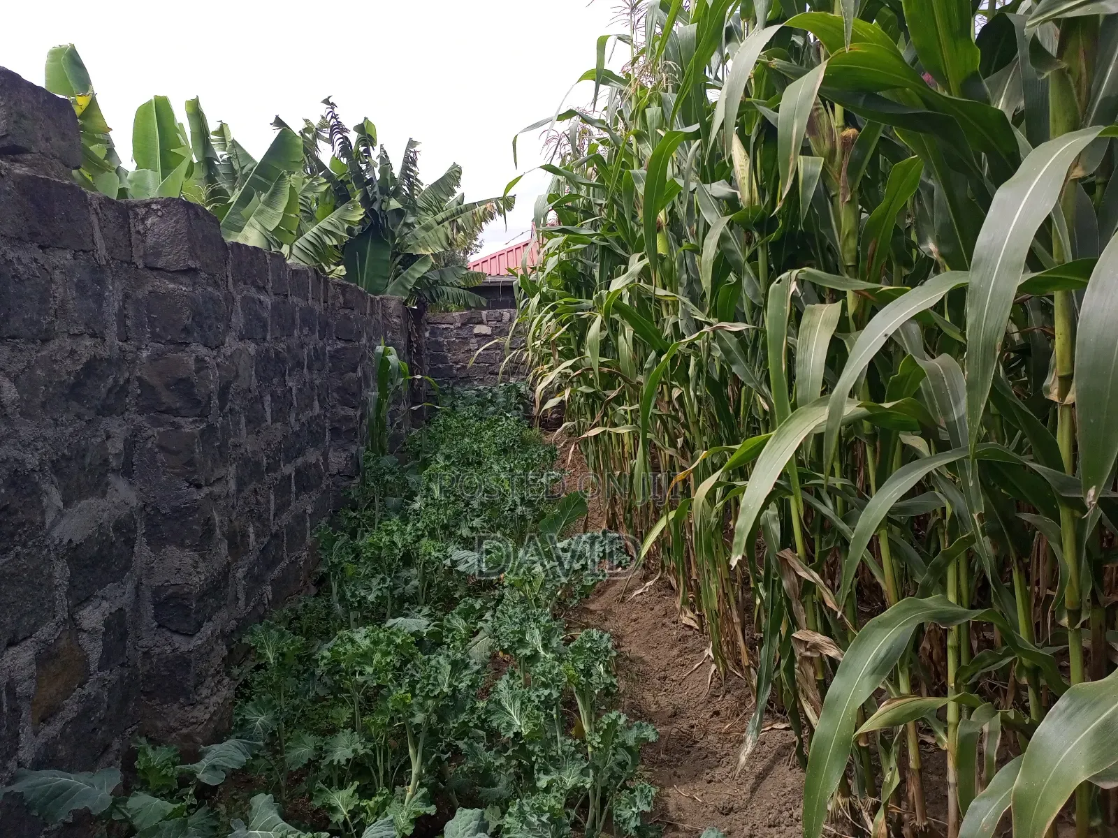 5bdrm House in Imperial, Nakuru Town East for sale