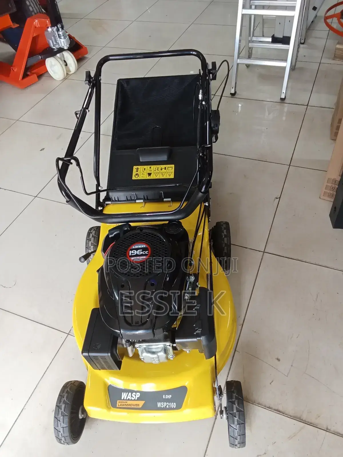 Lawn Mower Wasp
