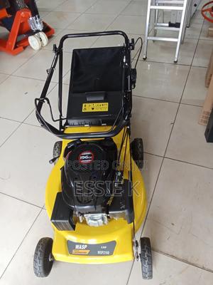 Lawn Mower Wasp - main view