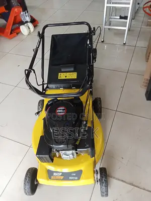 Lawn Mower Wasp