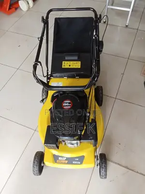 Wasp Lawn Mower 196cc