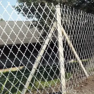 Welded Razor Wire Mesh 6ft ×30mtrs