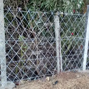 Welded Razor/ Mesh Wire 5ft ×30mtrs