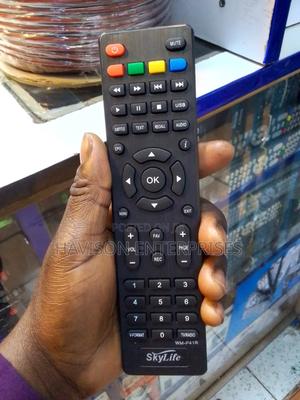 Skylife Remote - main view