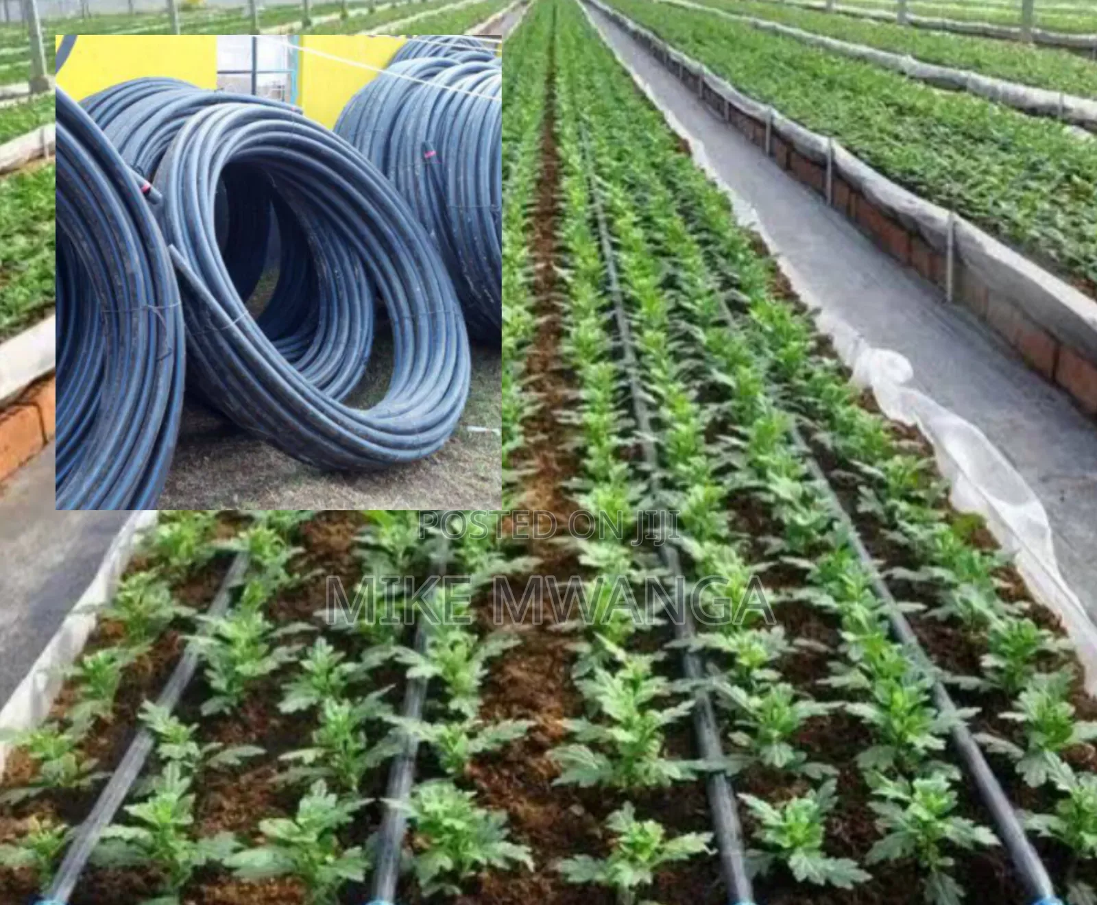 Hose Pipe(Irrigation)