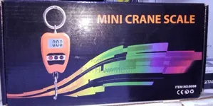 Most Selling Mini Crane Scale/Hanging Scale Crane