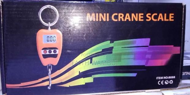 Most Selling Mini Crane Scale/Hanging Scale Crane