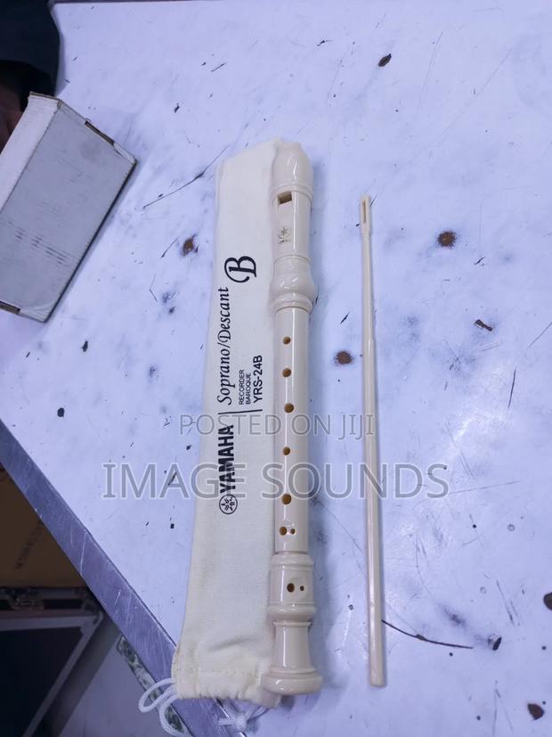 Yamaha Recorder - main view