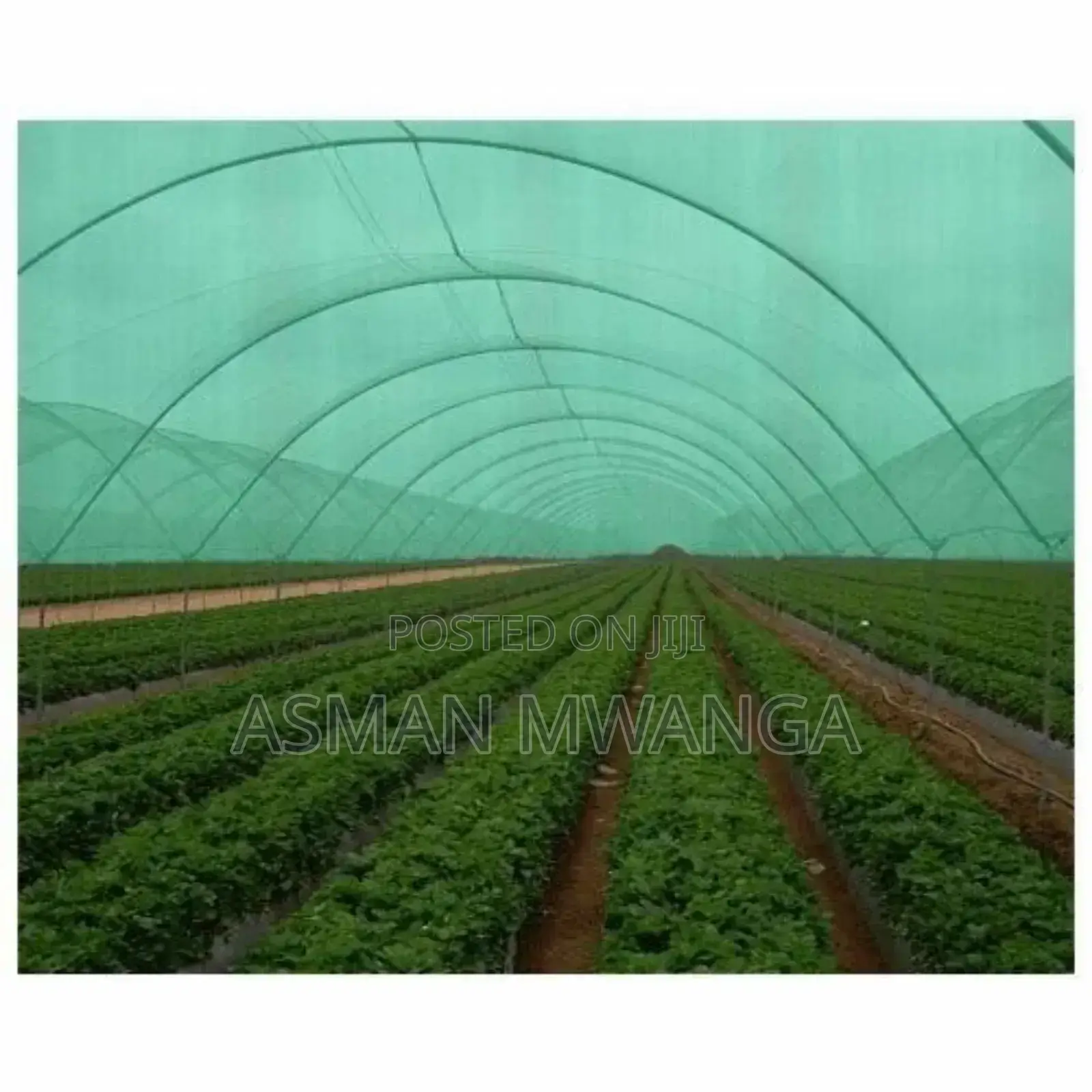 Bug Nets 4m×50m