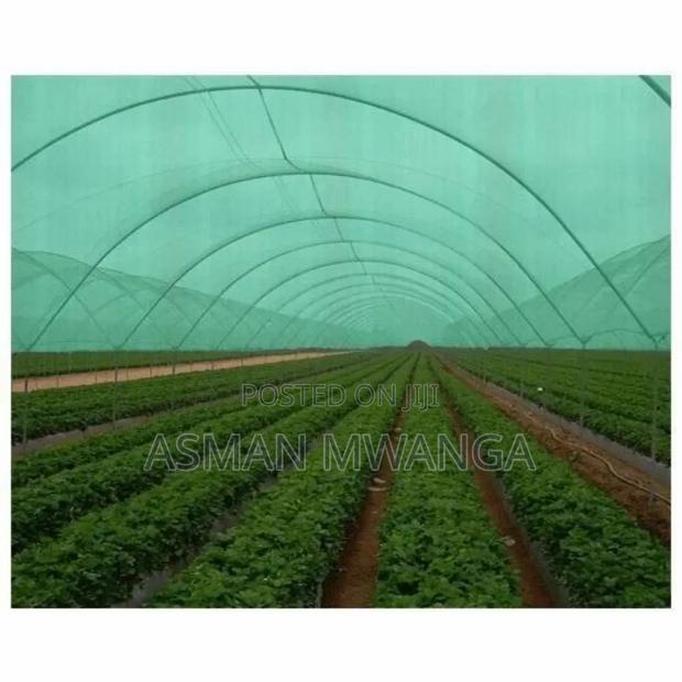 Bug Nets 4m×50m