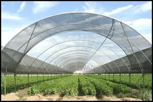 Anti-aphid Net 4m × 50m