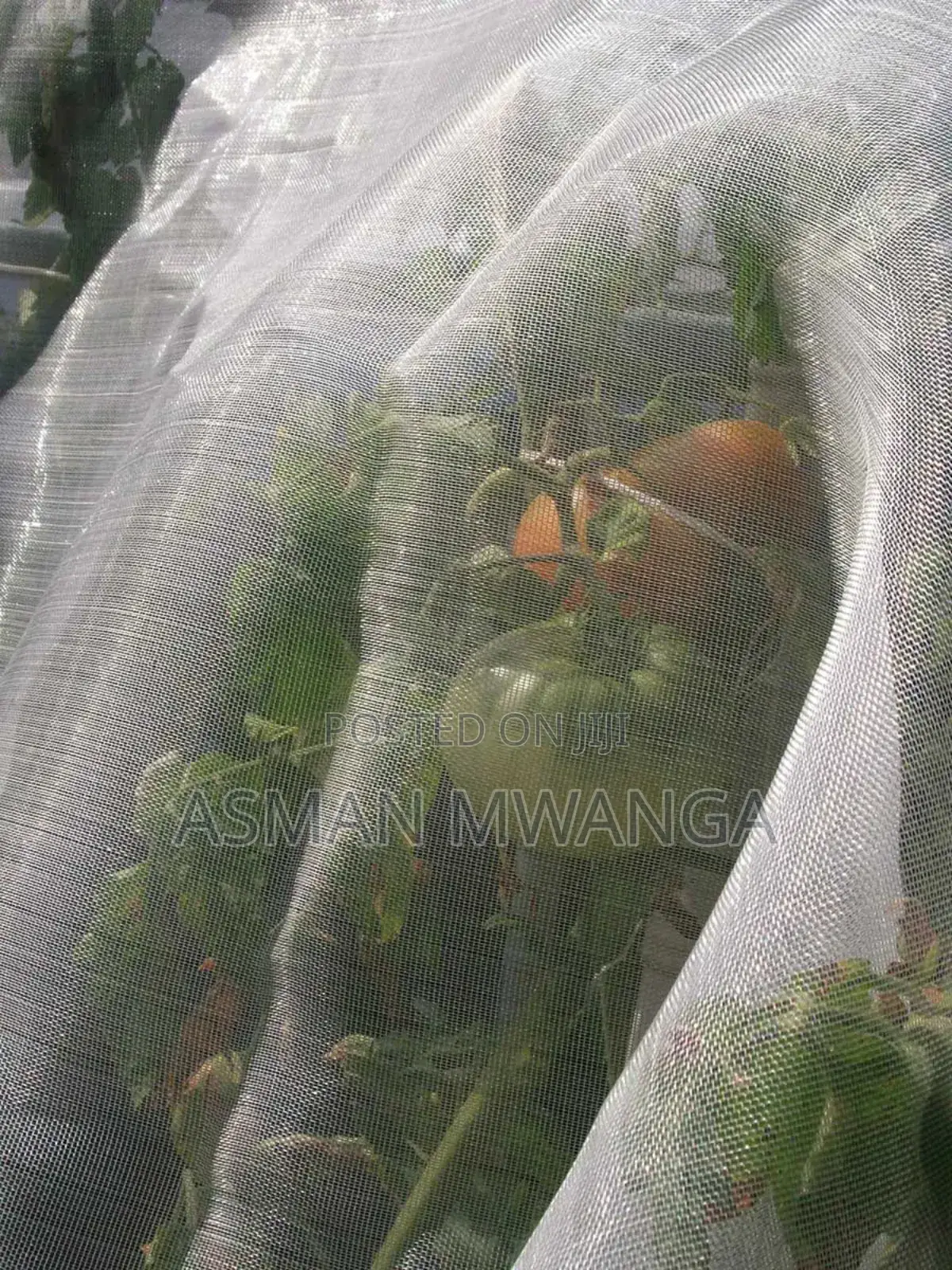 Pollination Netting 4m×50m