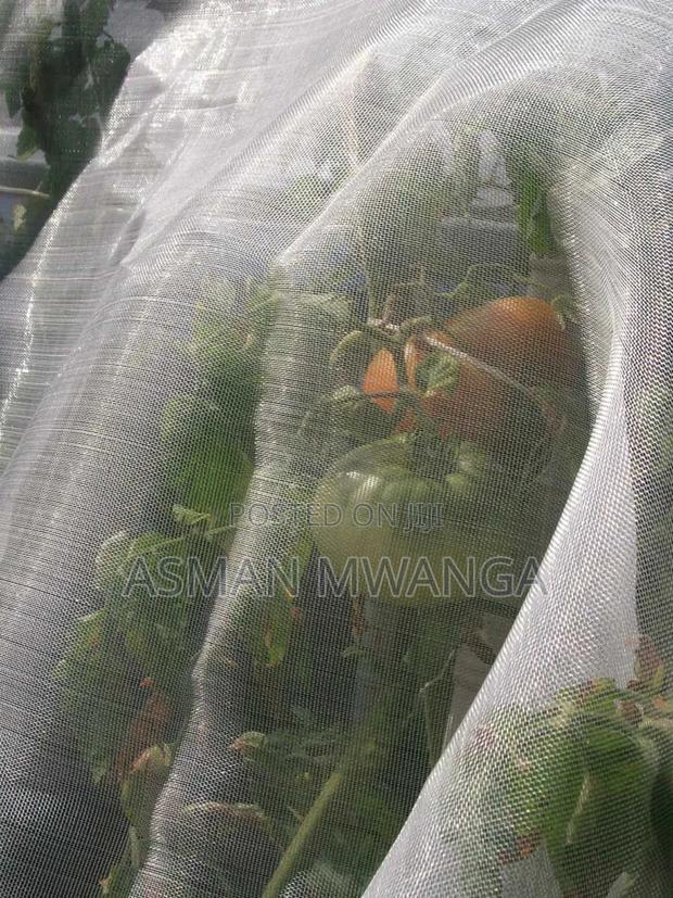 Pollination Netting 4m×50m