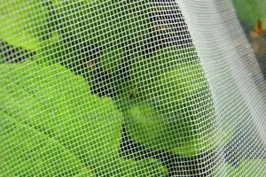 Pollination Netting 4m×50m