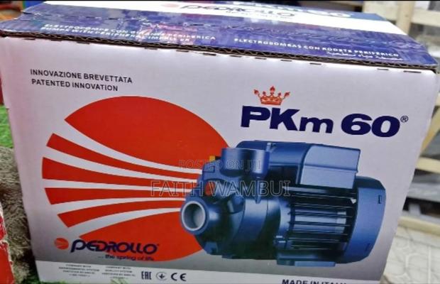Quality Pedrollo Booster Pump/Booster Pump 0.5hp