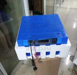 Fully Automatic 64 Eggs Incubator Ac/Dv