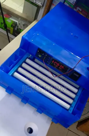 Fully Automatic 64 Eggs Incubator Ac/Dv