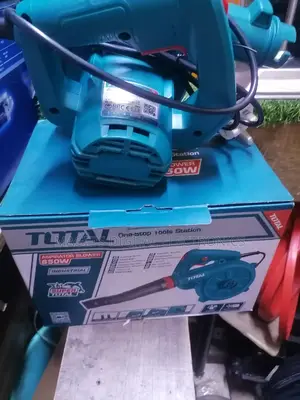 Most Affordable 650w Total Air Blower