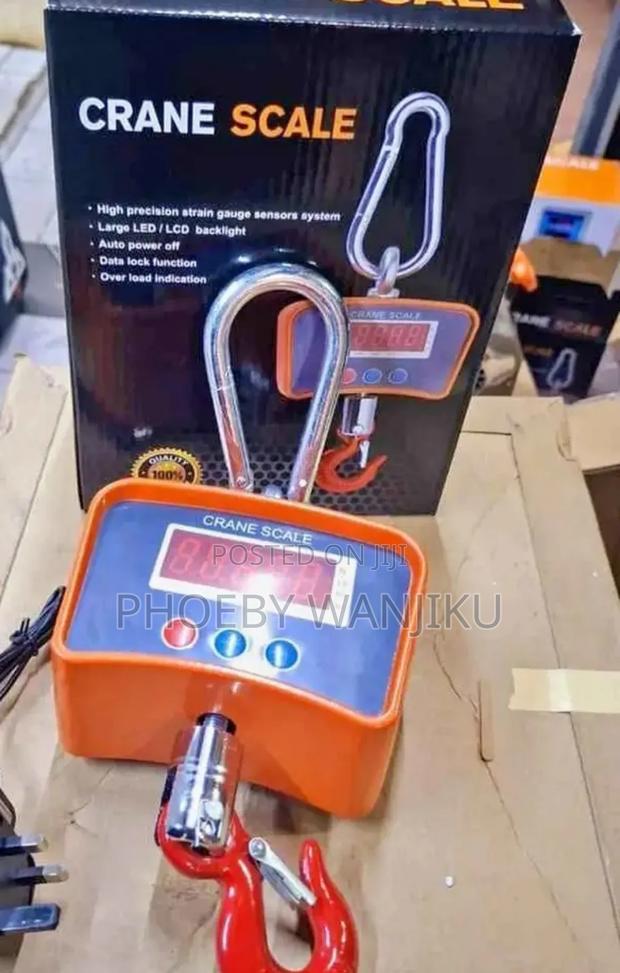 Crane Scale 500kgs Capacity - main view