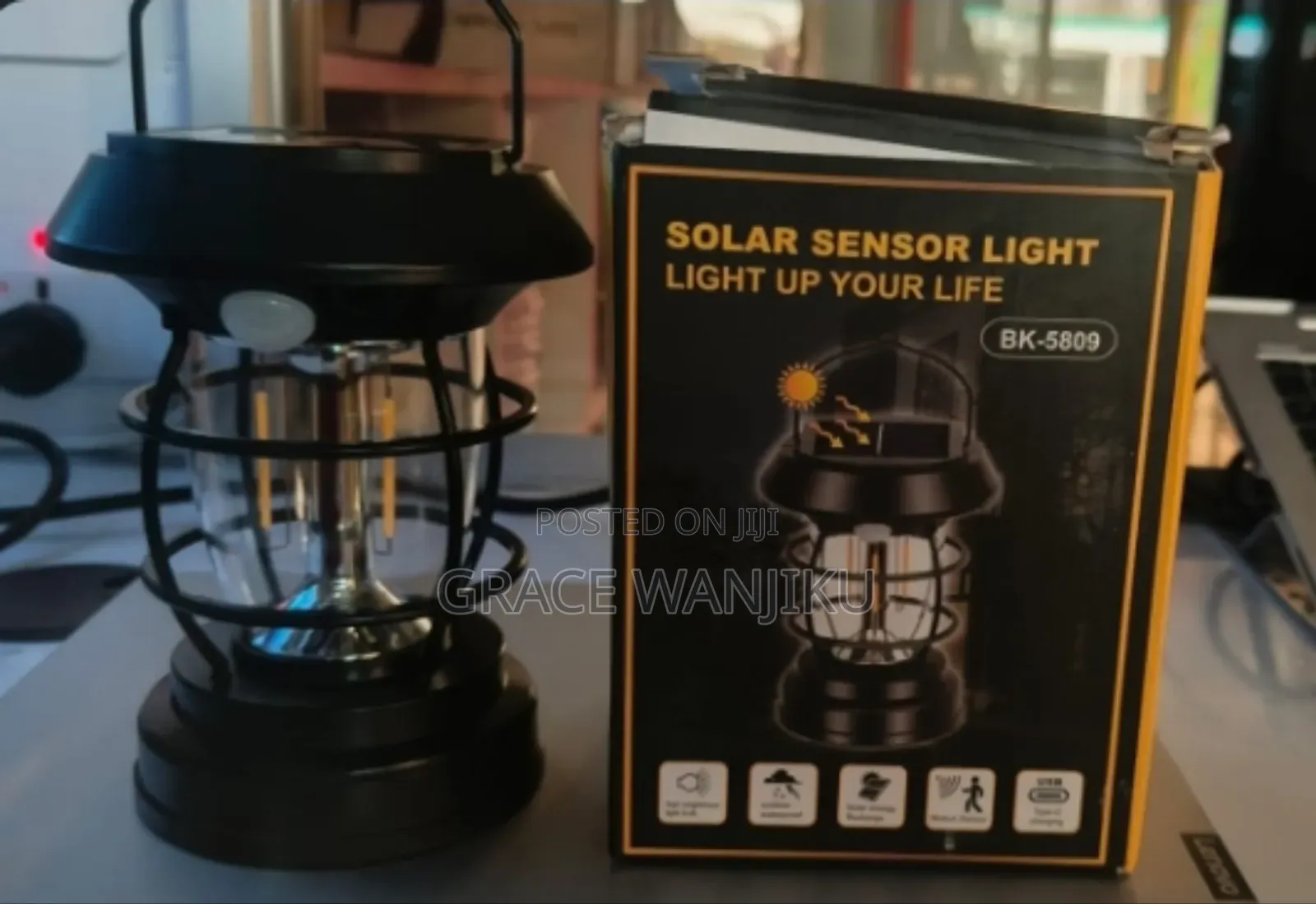Solar Sensor Light*