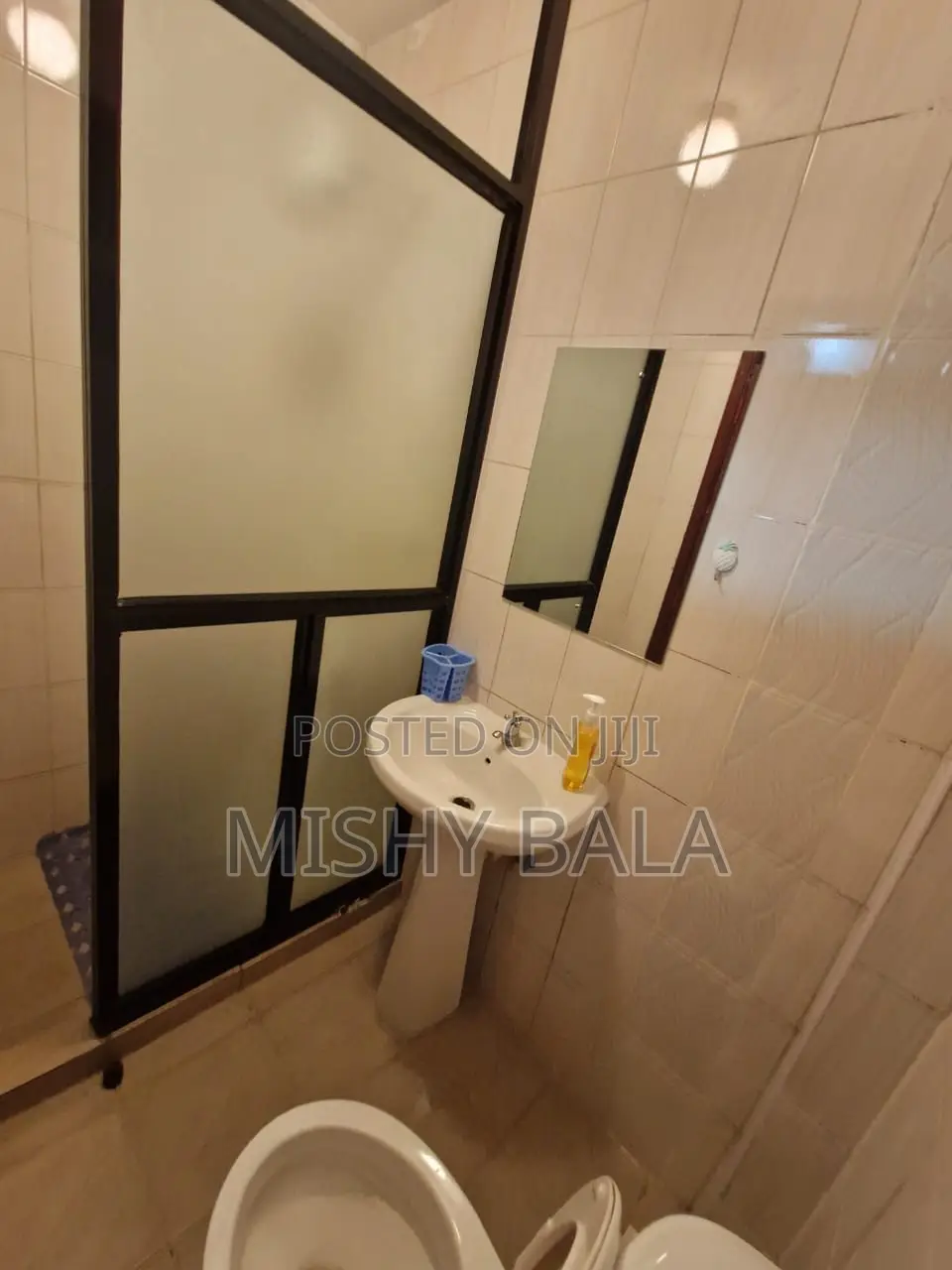 The Velvet Studios - Ruaka Furnished Apartment