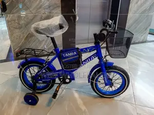 Tanda Bike Size 12