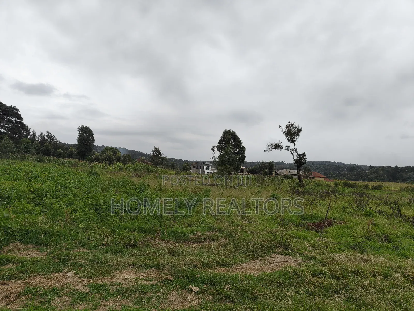 3.5 Acres of Land in Kerarapon Drive Ngong 250mtrs From Tarmac
