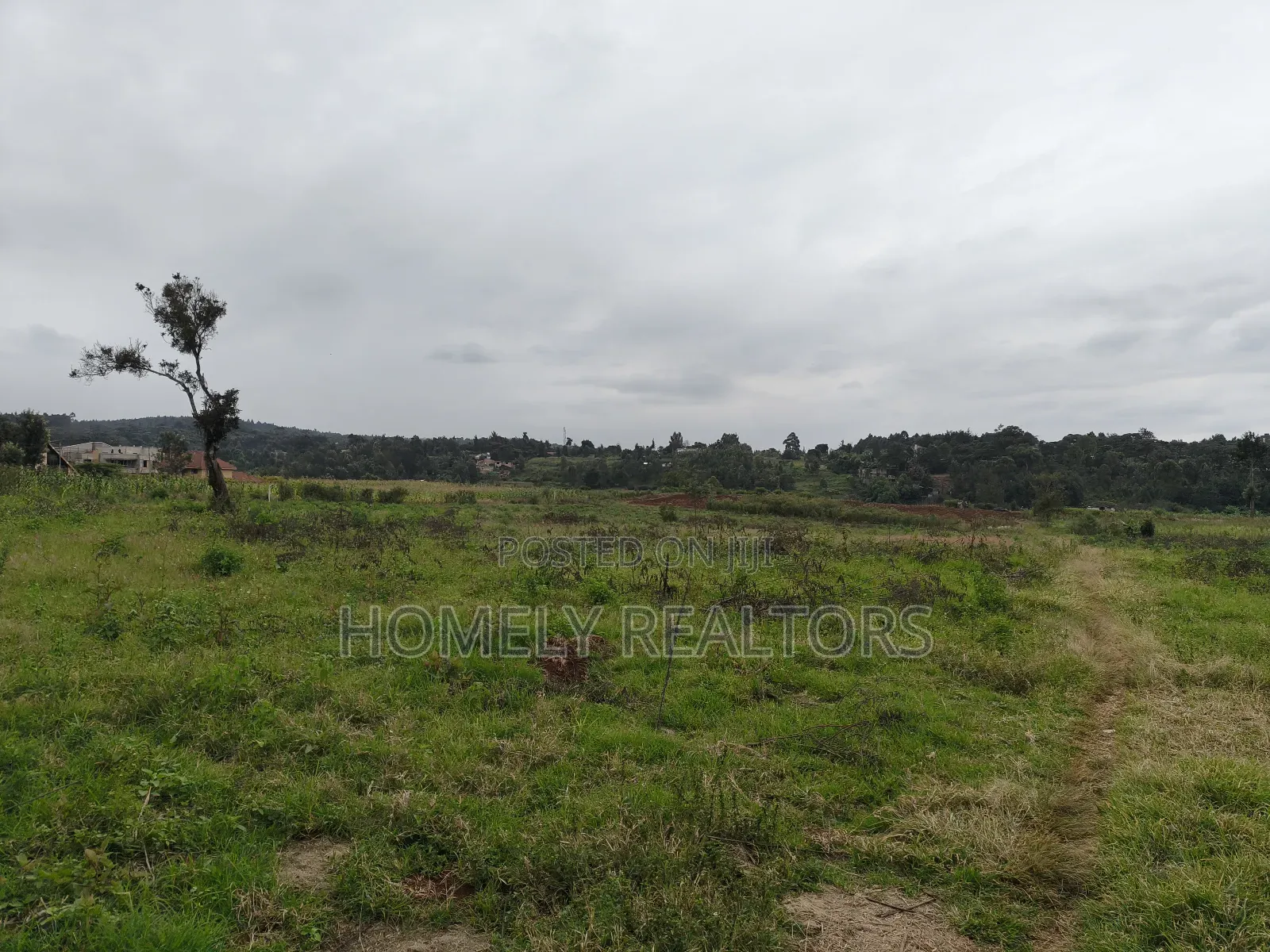 3.5 Acres of Land in Kerarapon Drive Ngong 250mtrs From Tarmac