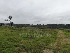 3.5 Acres of Land in Kerarapon Drive Ngong 250mtrs From Tarmac