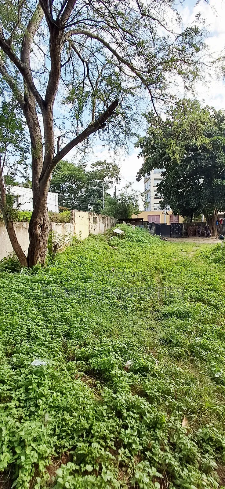 For Sale Half Acre Land Tudor