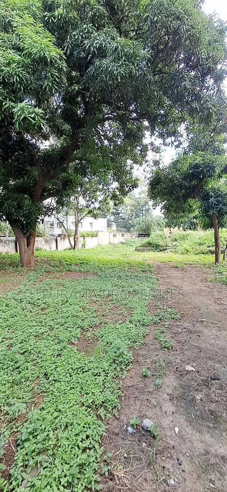 For Sale Half Acre Land Tudor