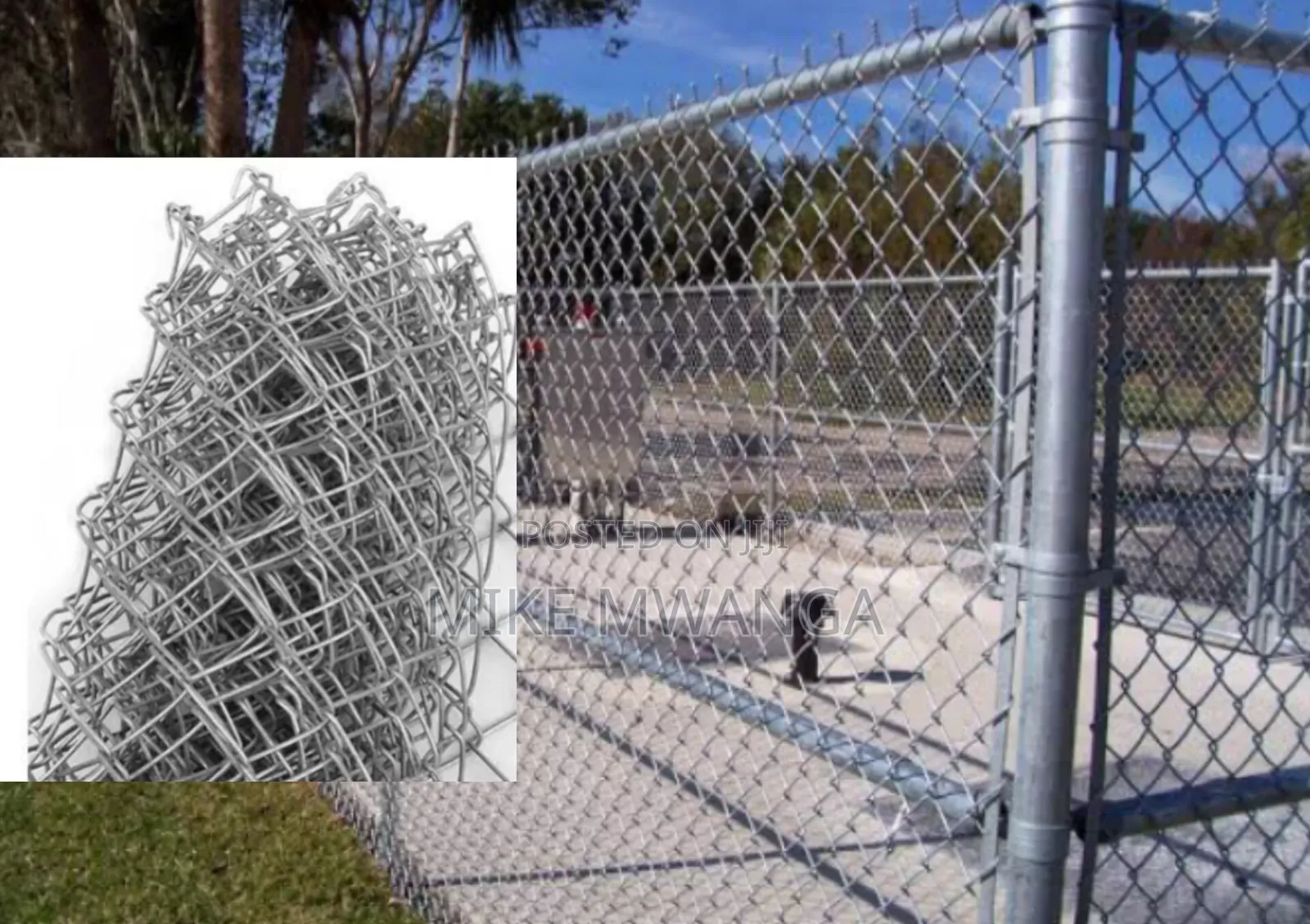 Chain Link( 11g Galvanized)