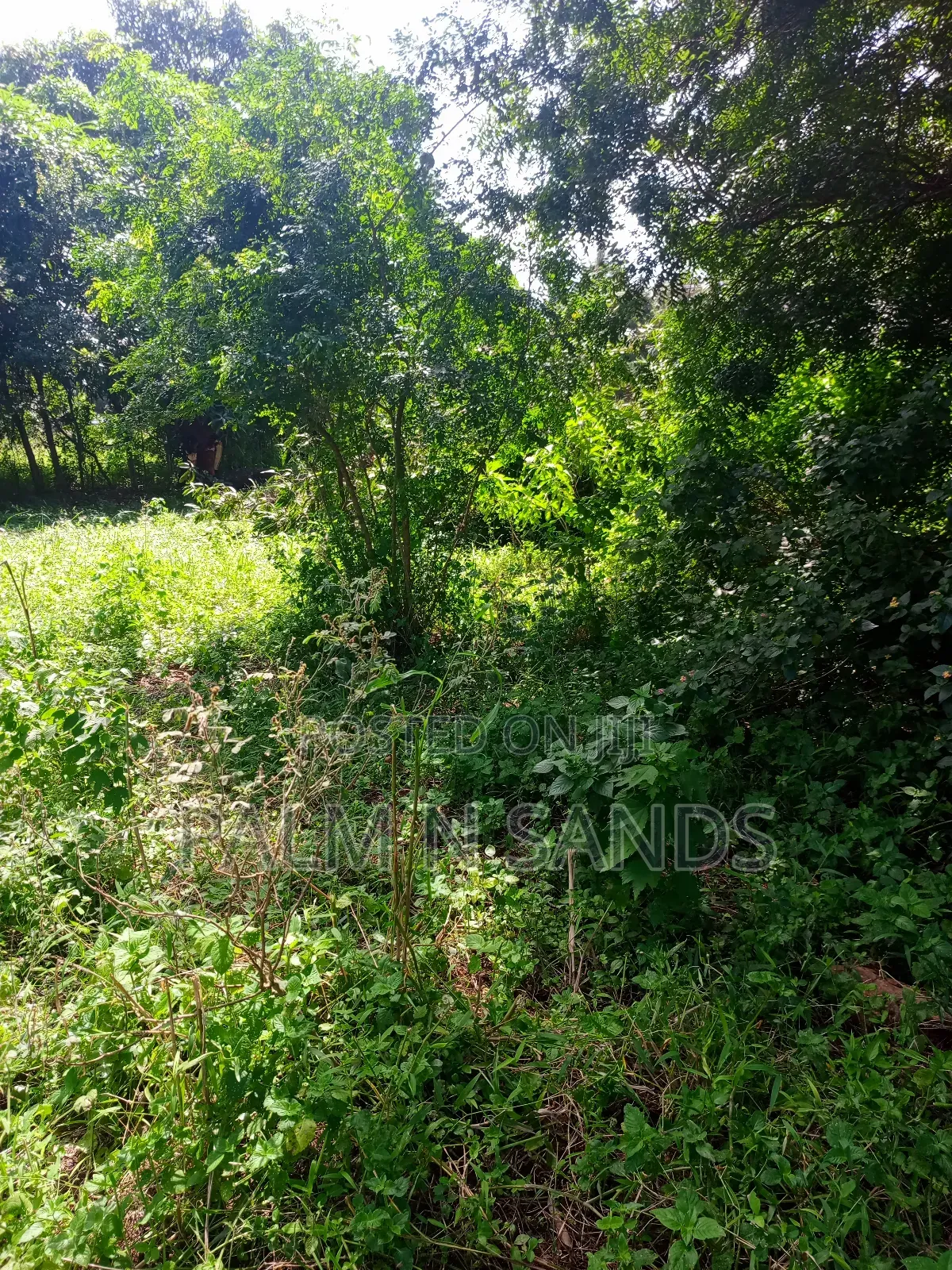 1/4 Acre on Sale in Mvideni Diani!