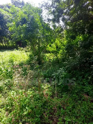 1/4 Acre on Sale in Mvideni Diani!
