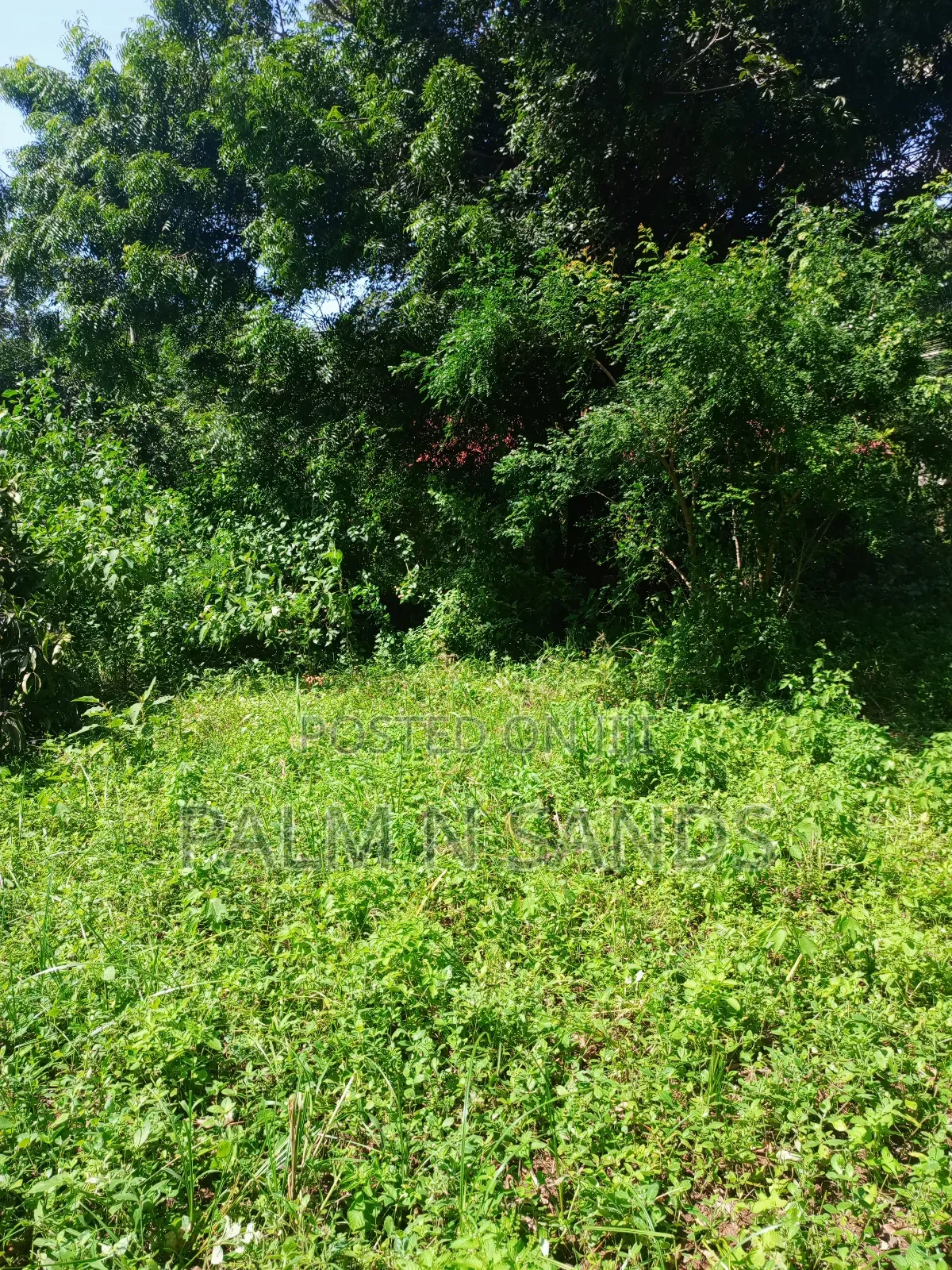 1/4 Acre on Sale in Mvideni Diani!