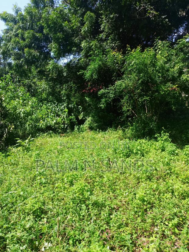 1/4 Acre on Sale in Mvideni Diani! - thumbnail 5