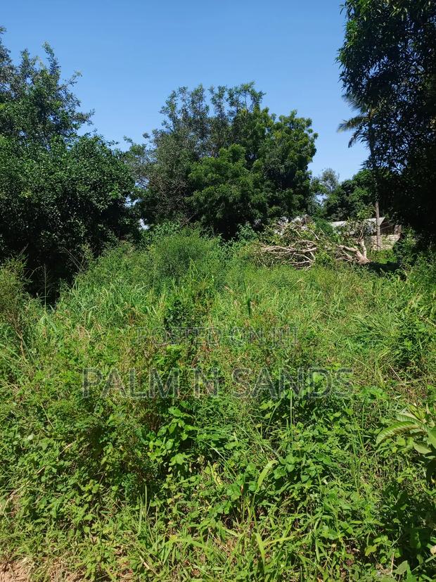 1/4 Acre on Sale in Mvideni Diani! - thumbnail 6