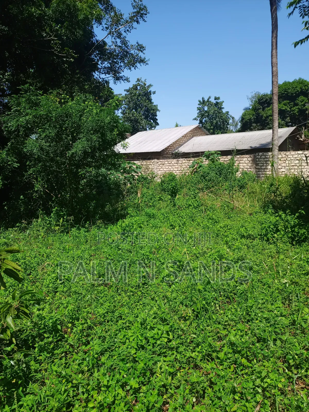 1/4 Acre on Sale in Mvideni Diani!