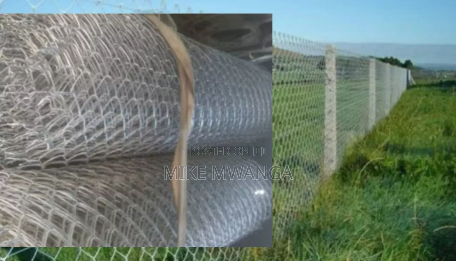 Steel Galvanized Chain Link(10g)