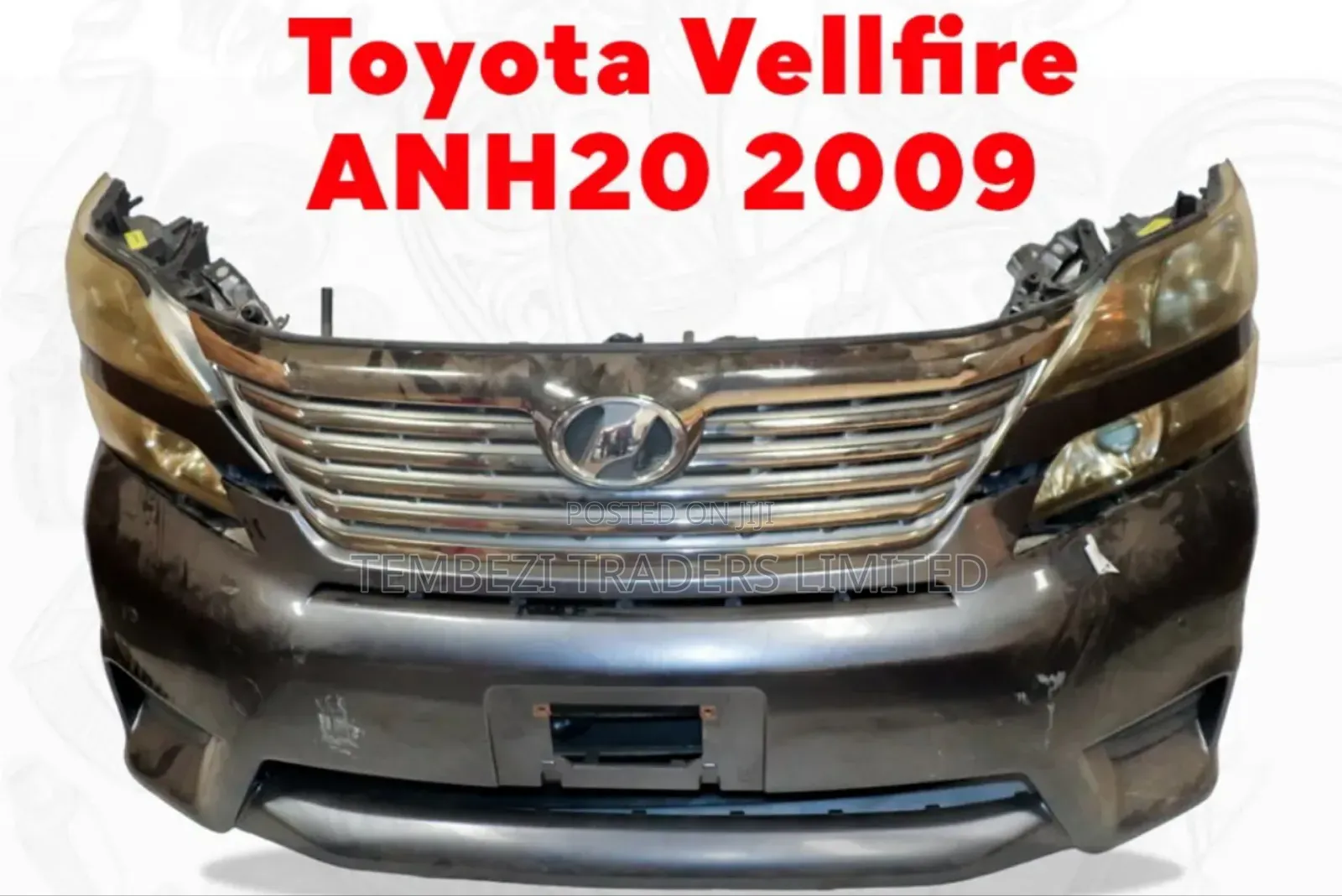 Nose Cut Toyota Vellfire Anh20 2009 Model