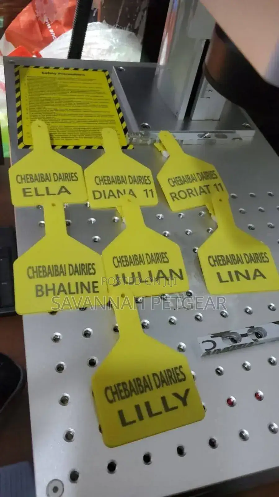 Cattle Ear Tags for Dairy Farm Identification - Zed Tags