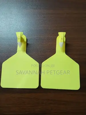 Cattle Ear Tags for Dairy Farm Identification - Zed Tags