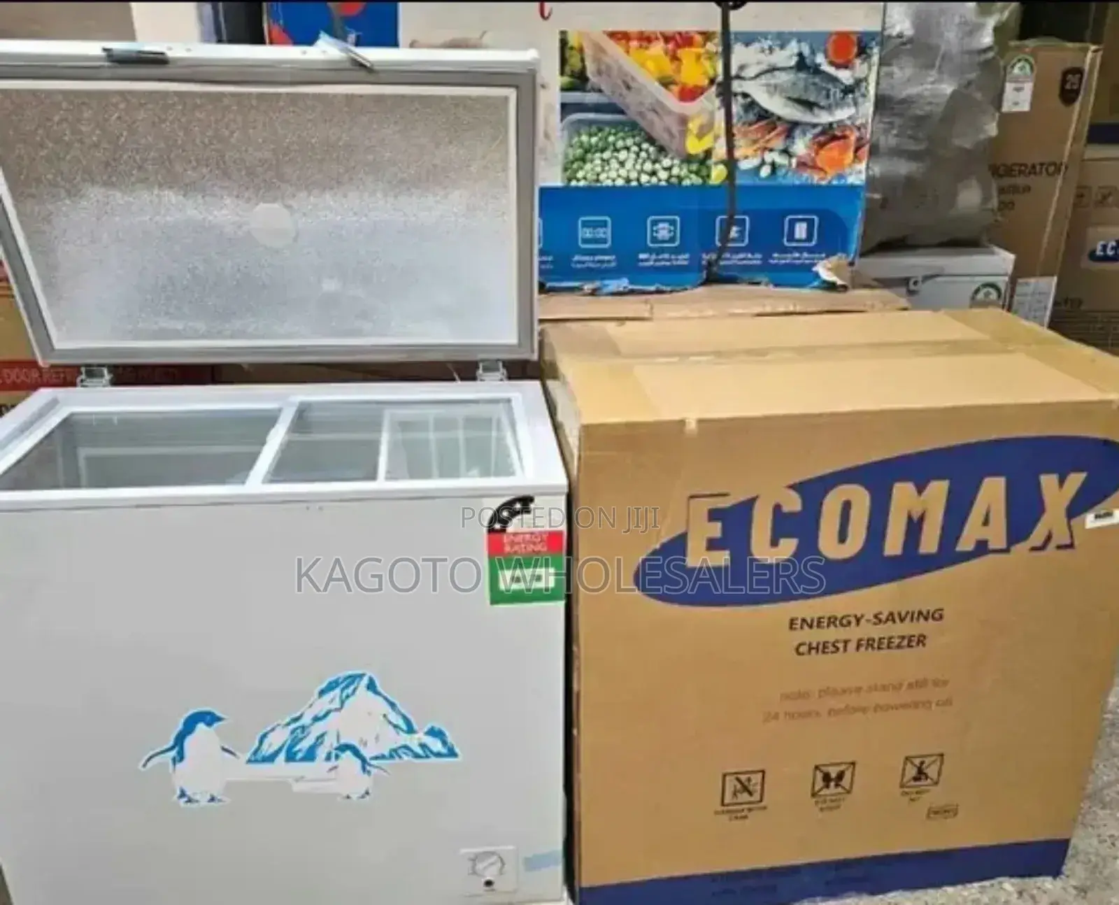 Ecomax 169litres Chest Deep Freezer (White) E/169lf