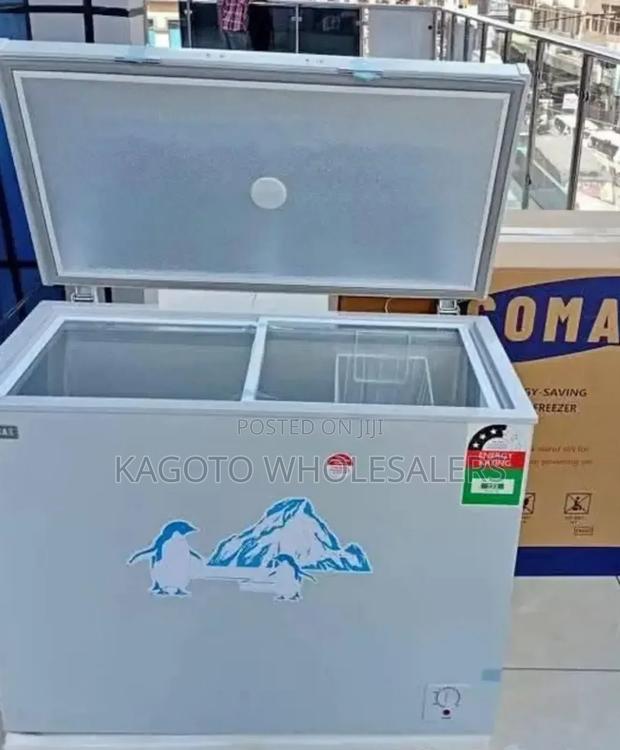 Ecomax 219litres Deep Freezer (White) E/219lf