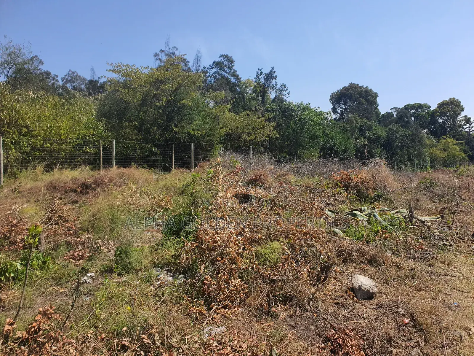 Narumoru 5 Acres on Tarmac