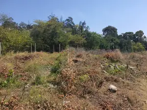 Narumoru 5 Acres on Tarmac