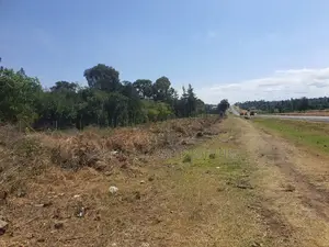 Narumoru 5 Acres on Tarmac