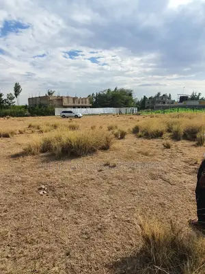 Nanyuki Plots Near Tarmac