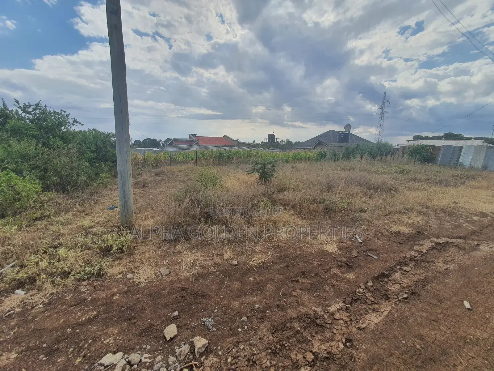 Nanyuki Plots Near Tarmac